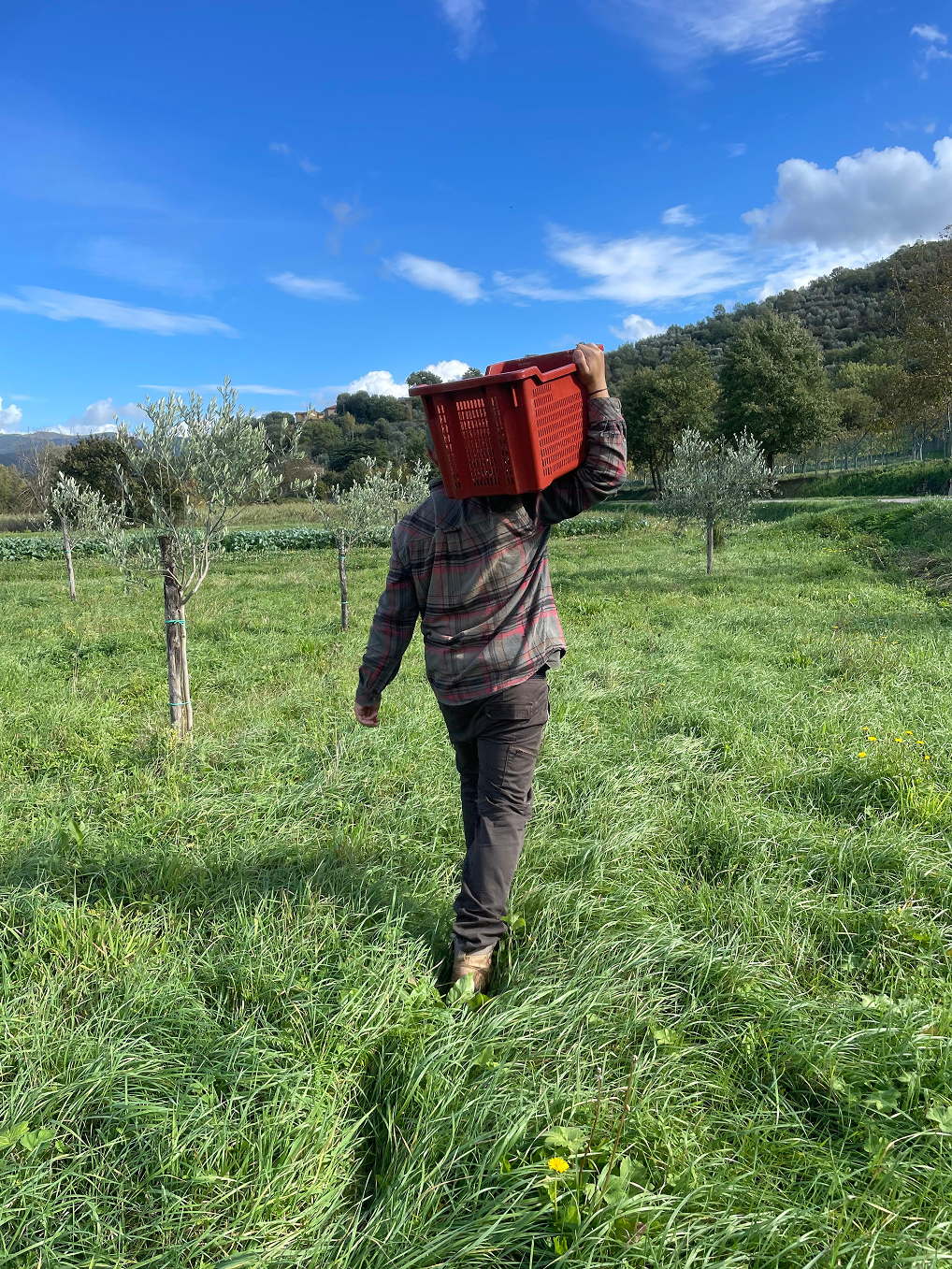 73989735-22f2-4081-b727-c92d4825bfe8